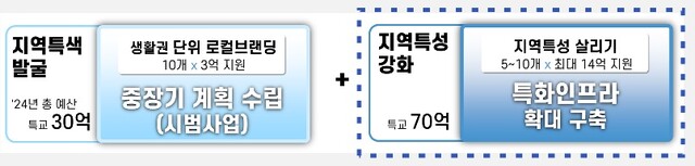 지역특성화 사업 개념도. 이미지 행안부.