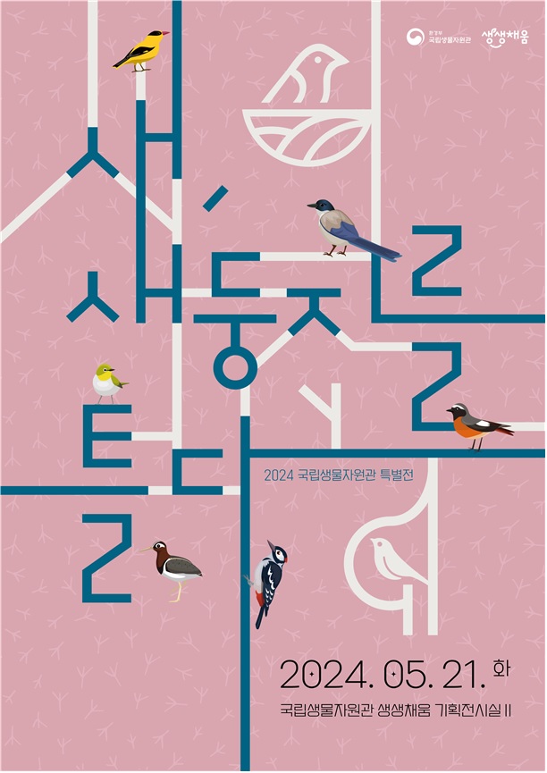 ‘새, 새둥지를 틀다’특별전 포스터. 이미지 환경부.