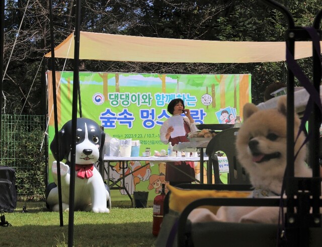 산음자연휴양림 ‘숲속 멍스토랑’ 활동 모습. 이미지 국립자연휴양림관리소.