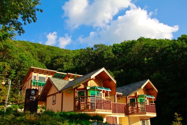 운악산휴양림 여름 풍경. 이미지 산림청.