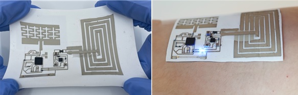 고무처럼 늘려도 고성능 전기적 특성 유지하는 웨어러블 기기. 이미지 과기정통부.