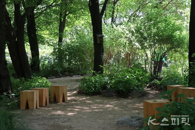 서울숲 공원 내 조성된 SM엔터 기부정원 '광야숲'. 사진 강나리 기자.