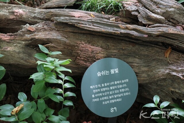 광야숲 곳곳에서 발견되는 생태 이야기 안내판. 사진 강나리 기자.