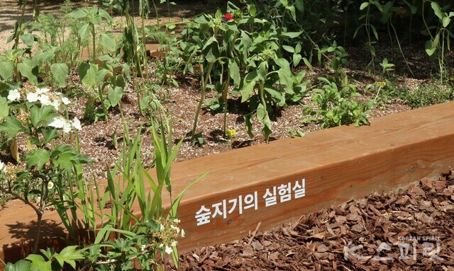 SM엔터테인먼트 임직원이 참여하는 생명 다양성 보전 자원봉사 공간인 '숲지기의 실험실'. 사진 강나리 기자.