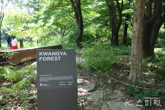 서울숲 공원 내 기부정원 광야숲. 사진 강나리 기자.