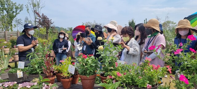지난해 열린 2023년 자생식물 전시품평회. 사진 산림청 국립수목원.