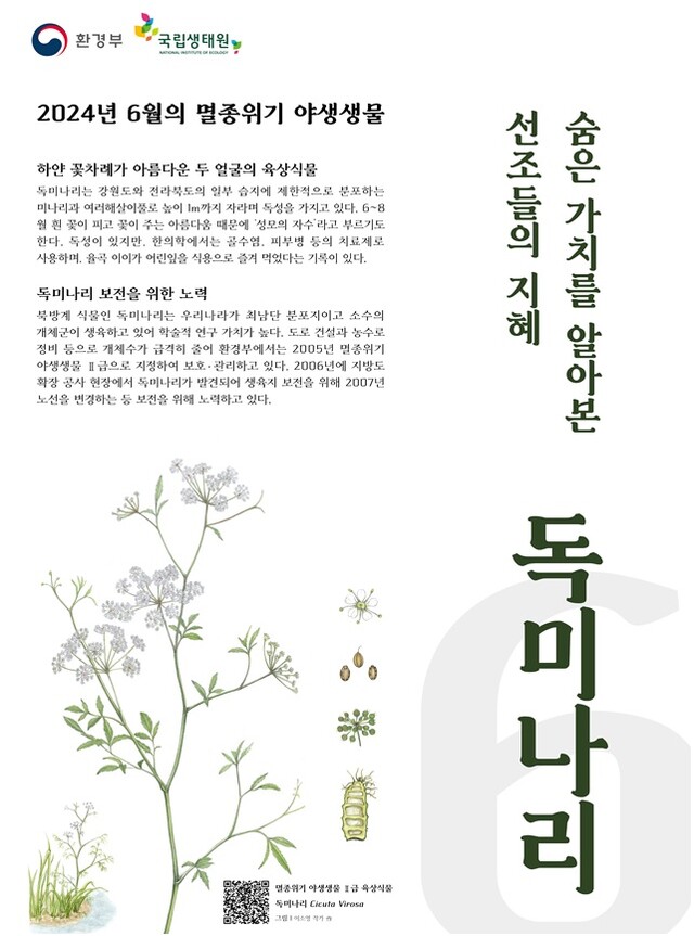 6월의 멸종위기 야생생물 포스터. 이미지 환경부.