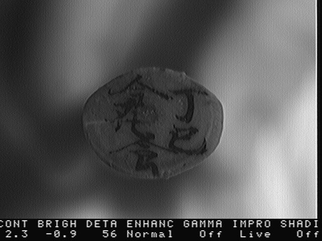 백제 유적에서 처음 발견된 봉축 추정 목재 막대기. 정사 금재식이라고 묵서 기록이 있다. 사진 국가유산청.