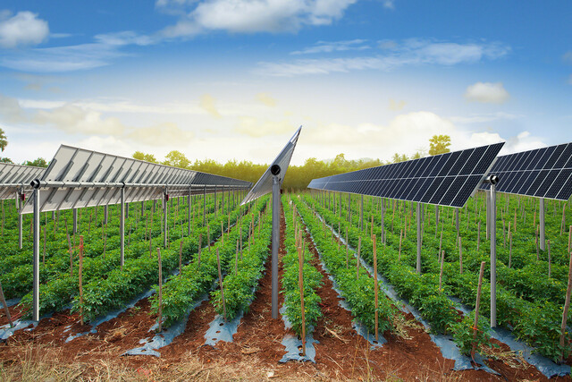 주식회사 파루가 영농 현장에 최적화된 '단축 추적식 태양광 발전 시스템'을 19일 개막하는 독일 '인터솔라 전시회(Intersolar Europe)'에서 공개한다 [사진 제공 파루]