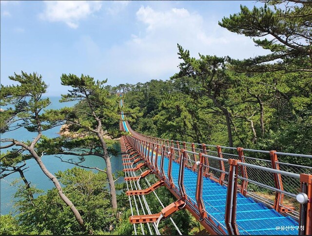 울산 12경 중 하나인 울산대왕암 공원 내 출렁다리. 사진출처 울산동구청.