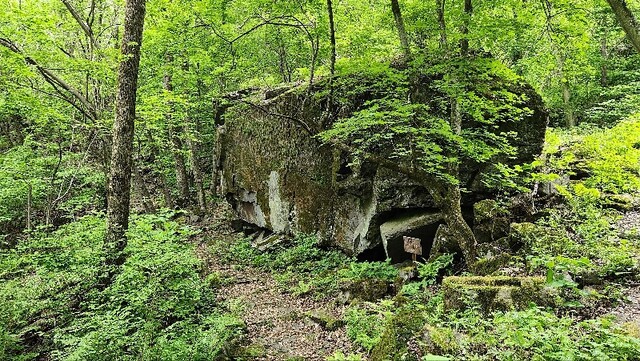 두타산휴양림 등산로 털보바위. 이미지 국립자연휴양림관리소.