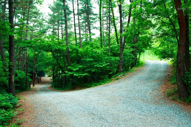 희리산해송휴양림 숲길. 이미지 국립자연휴양림관리소.