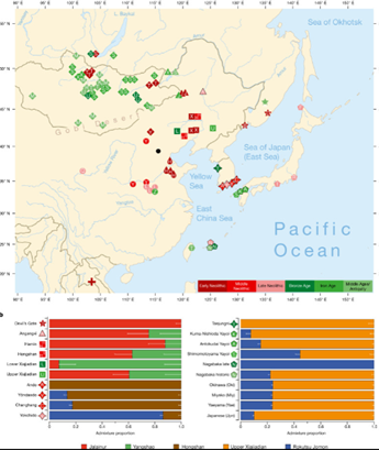 출처 : Martine Robbeets, Remco Bouckaert, Matthew Conte, etc., Triangulation supports agricultural spread of the Transeurasian languages, Nature, Published online: 10 November 2021, pp. 1-6. 출처 : K스피릿(http://www.ikoreanspirit.com)