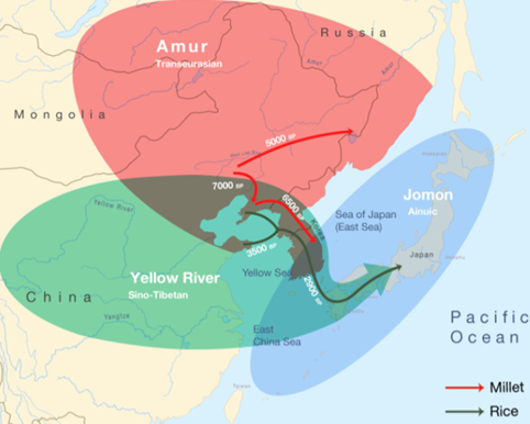 출처 : Martine Robbeets, Remco Bouckaert, Matthew Conte, etc., Triangulation supports agricultural spread of the Transeurasian languages, Nature, Published online: 10 November 2021, pp. 1-6.