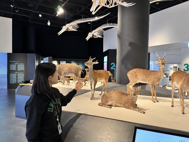 주니어도슨트 활동 장면. 이미지 국립호남권생물자원관.