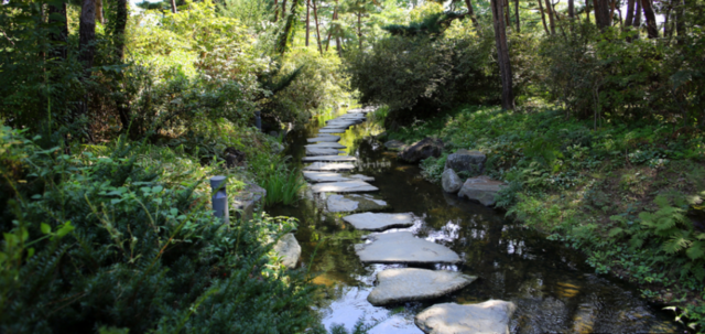 경기도 양평에 있는 지방정원 '세미원'. 사진 세미원 누리집 갈무리.