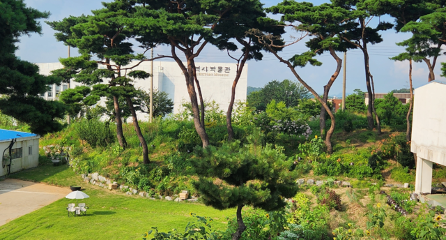 인천 강화군 '파인 앤 로즈 정원'. 사진 파인 앤 로즈 정원 누리집 갈무리.