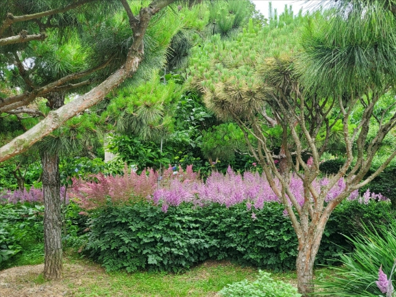 광주광역시 민간정원 1호 '휴심정'. 사진 휴심정 누리집 갈무리.