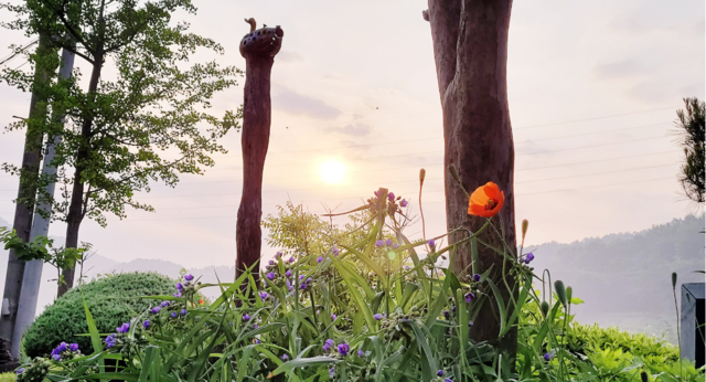 대전광역시 '하늘강' 정원. 사진 하늘강 누리집 갈무리.
