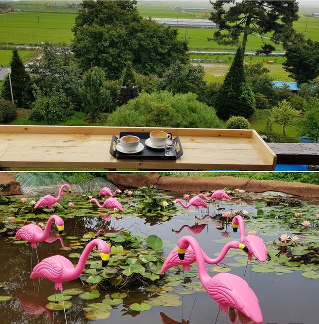 500살 느티나무의 첫사랑 이야기를 품은 전북 '달빛소리정원'. 사진 달빛소리정원 누리집 갈무리.