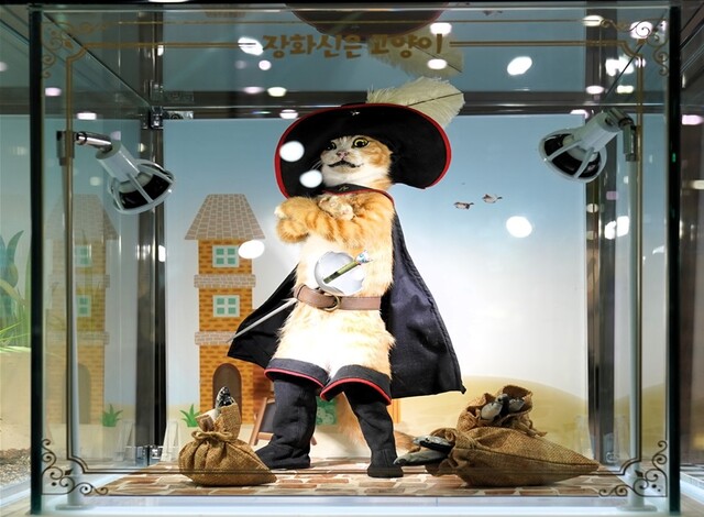 ‘장화 신은 고양이’ 전시물. 이미지 국립낙동강생물자원관.