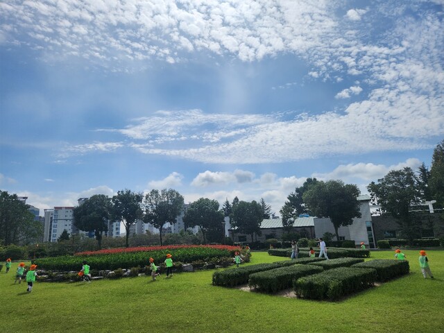 산림바이오소재연구소 잔디밭 전경. 이미지 산림청.