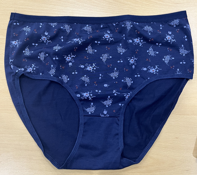 방광암 발암물질 아릴아민이 국내 기준치의 2.9배 초과한 여성용 속옷. 쉬인 판매. 사진 서울시.