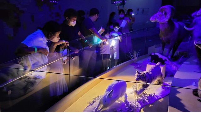 ‘자원관이 살아있다’ 참여 사진. 이미지 국립낙동강생물자원관.