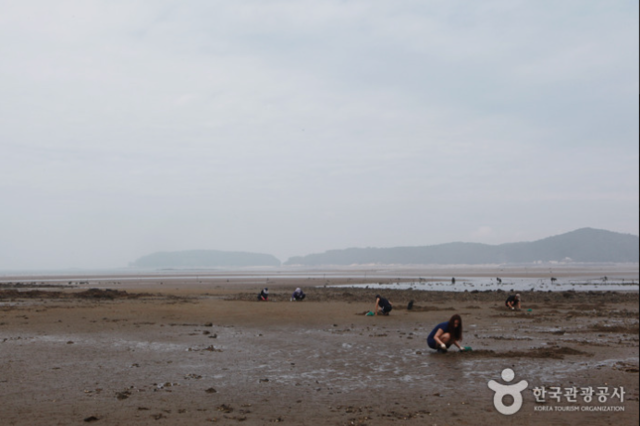 충남 서천군 선도리 바다마을. 사진 한국관광공사.