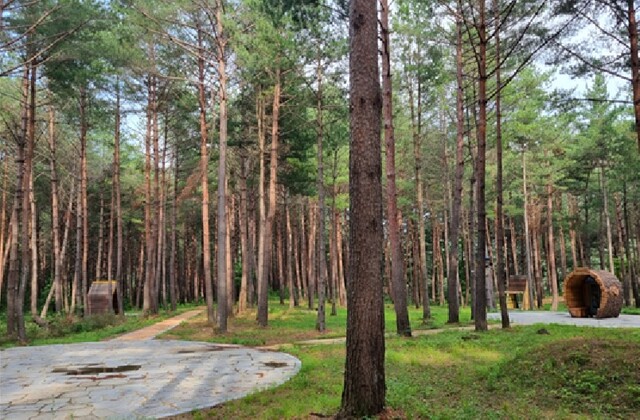 반딧불이 생태숲. 이미지 환경부.
