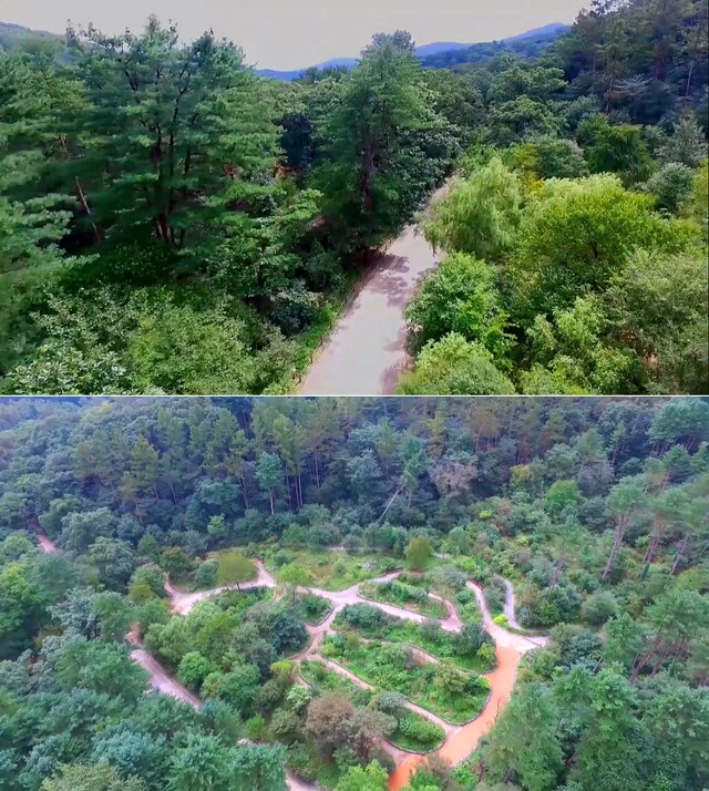 (위) 전나무길 (아래) 약용식물원. 사진 국립수목원 유투브 갈무리.