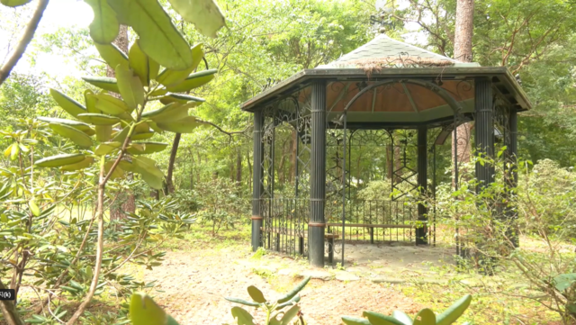 ‘희귀‧약용길’ 에 있는 만병초원. 사진 국립수목원 유튜브 갈무리.