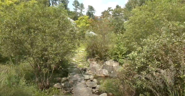 ‘느티나무· 박물관길’을 따라 나오는 소리정원. 사진 국립수목원 유튜브 갈무리.