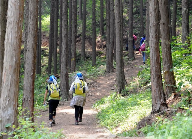 여름 휴가철 산행 시 온열질환에 대한 주의가 필요하다. 사진은 지리산 둘레길 전남 구례군 밤재. 사진 산림청.