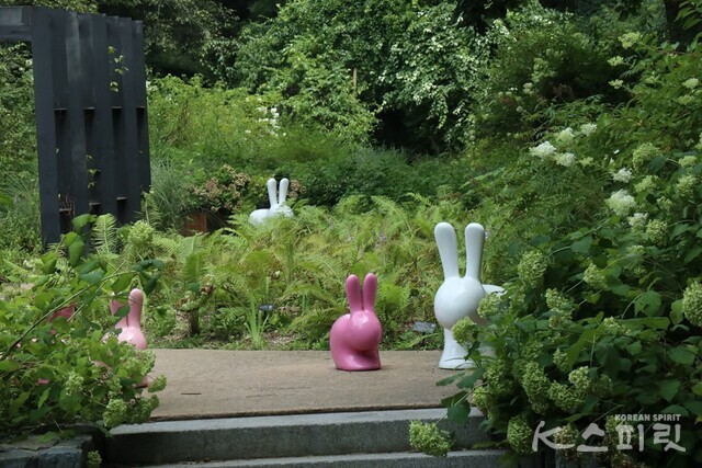 지난 3일 찾아간 국립수목원 광릉수목원 내 '꽃이 가득한 여름 정원' 수국들 사이 토끼 조형물이 동화 속을 연출한다. 사진 강나리 기자.
