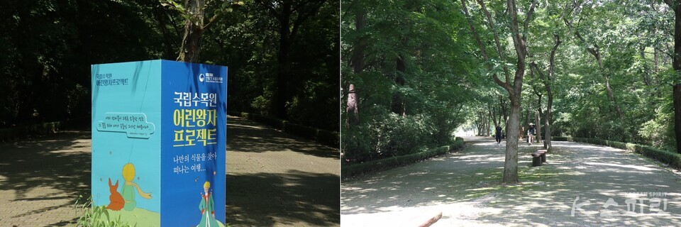 국립수목원 내 오른쪽 진입로. 사진 강나리 기자.