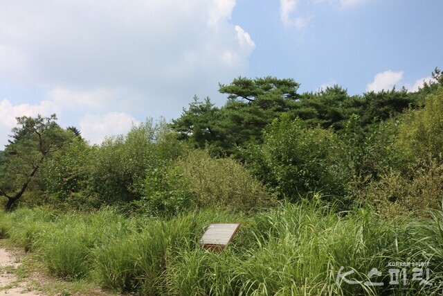 국립수목원 광릉수목원의 '소리정원'. 새소리와 풀벌레 소리, 바람소리가 파도처럼 오간다. 사진 강나리 기자.