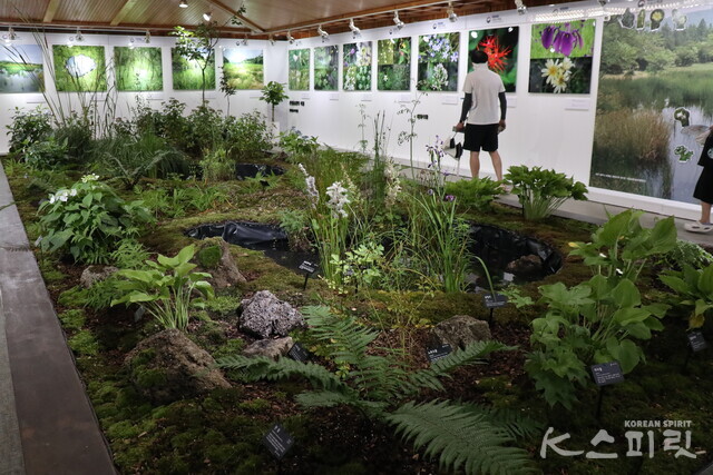 기획전시 '한국의 산림습원을 만나다' 전시관. 사진 강나리 기자.