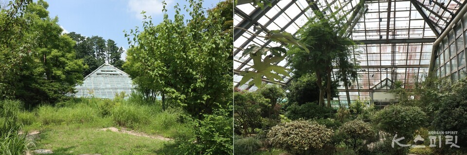 유리 피라미드 형태로 지어진 온대온실의 외관과 내부. 사진 강나리 기자.