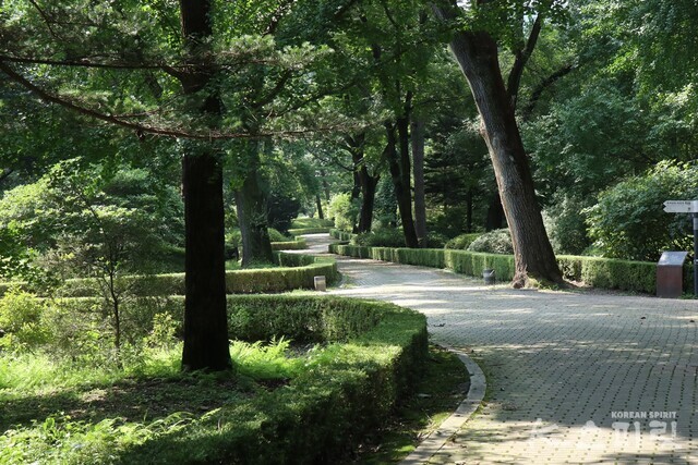 구불구불 초록빛 나무와 꽃들이 핀 광릉수목원길. 사진 강나리 기자.