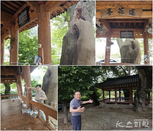 연화마을 주민들이 늘 모이는 정자인 연화정도 번개로 인해 피해를 입었다. 천둥번개 치기 직전까지 마을 주민들이 모여 담소를 나누었다며 인명피해가 없다는 게 천행이라는 주민 송태영 씨와 채동기 씨. 사진 오소후 시인.