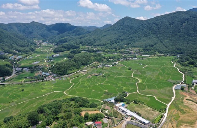 평촌명품마을 전경. 이미지 환경부.