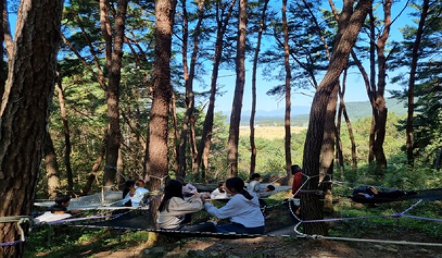 평촌마을 생태숲길. 이미지 환경부.