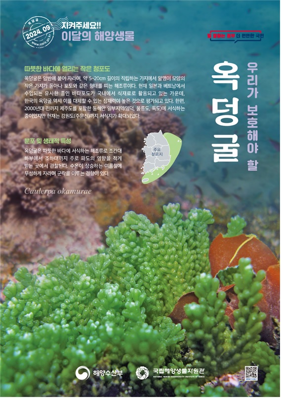 ‘이달의 해양생물’ 포스터. 이미지 해수부.