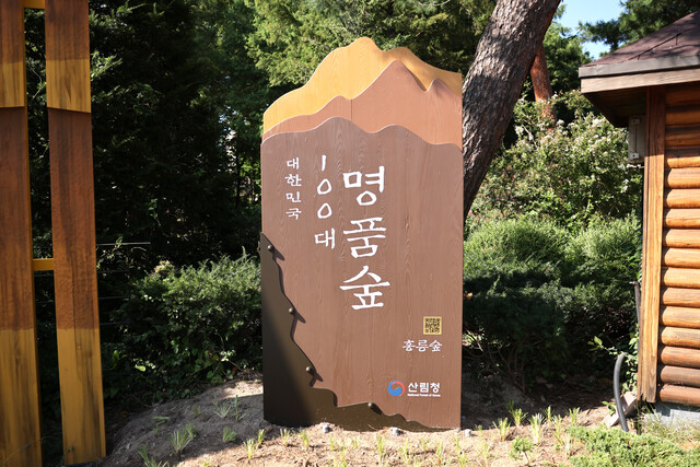 홍릉숲이 대한민국 100대 명품숲으로 인정받았다. 사진 국립산림과학원