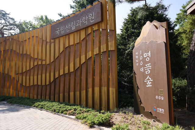 대한민국 100대 명품숲, 홍릉숲. 사진 국립산림과학원