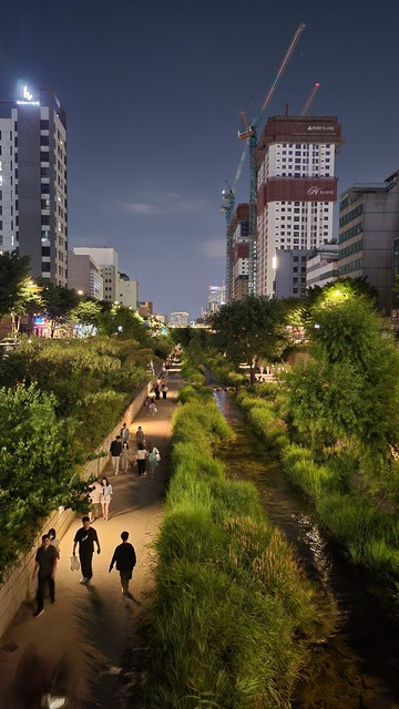 열대야에 시민들이 도시숲을 찾고 있다. 사진 산림청