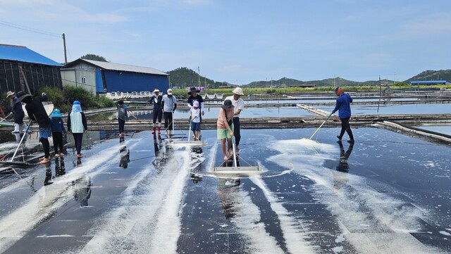 염전 체험 장면. 이미지 국립호남권생물자원관.