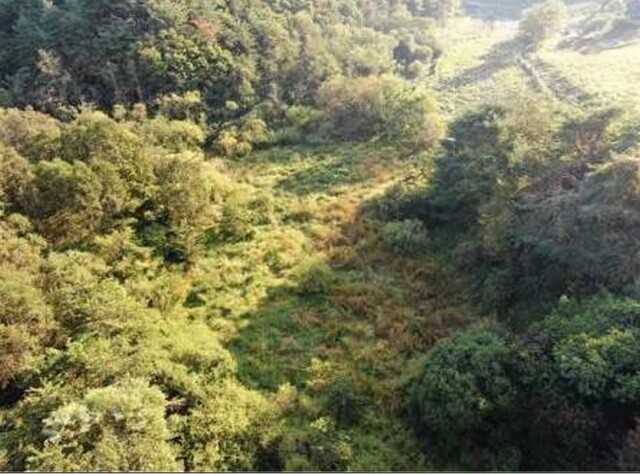 영양 장구메기습지 전경. 이미지 환경부.