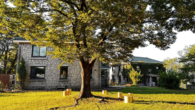 사직동에 새롭게 터 잡은 이회영기념관. 기념관 앞에는 합이 300살이 넘은 느티나무 두 그루가 서 있고 서울 도심 풍경을 감상할 수 있는 벗집 마루가 있다. 사진 서울시.